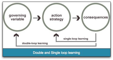 Example organisation loop single learning Single and