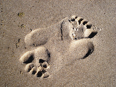 Footprint